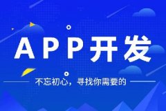 開發(fā)一個app多少錢?
